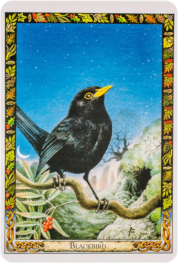 The Druid Animal Oracle Deck: Working with the Sacred Animals of the Druid Tradition
