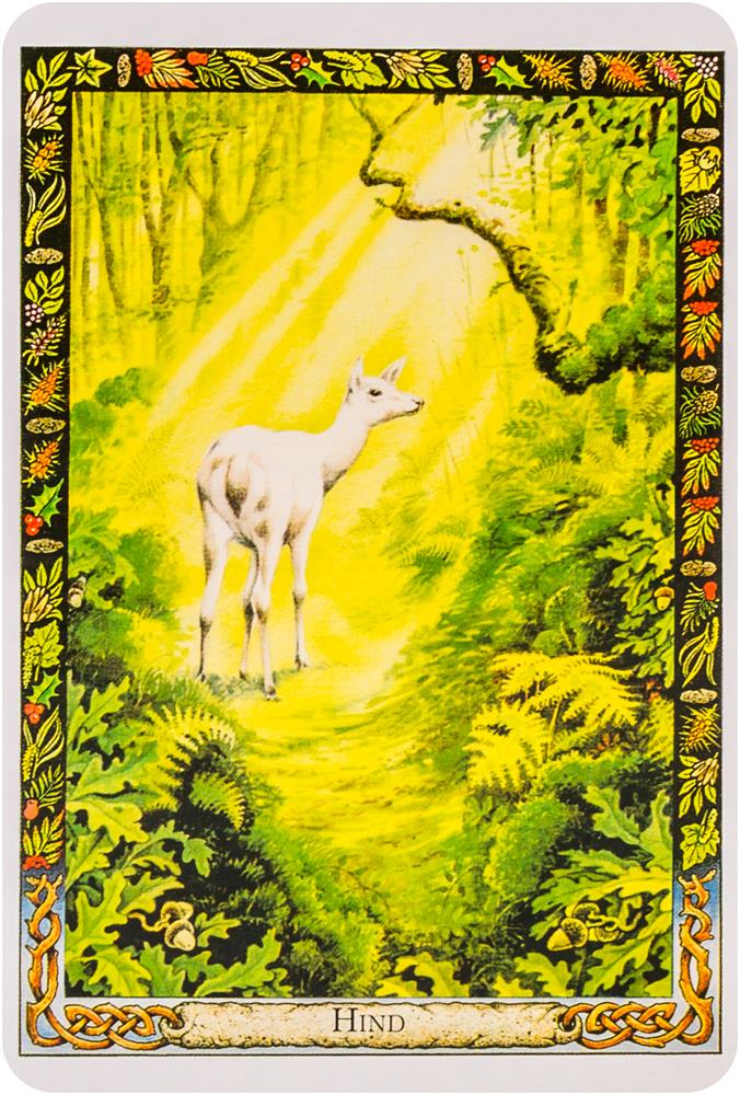 The Druid Animal Oracle Deck: Working with the Sacred Animals of the Druid Tradition