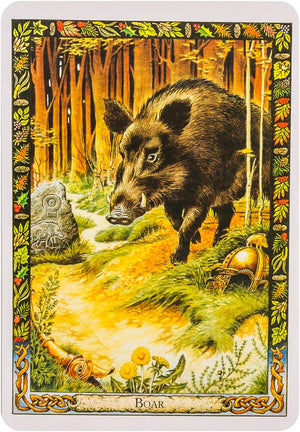 The Druid Animal Oracle Deck: Working with the Sacred Animals of the Druid Tradition