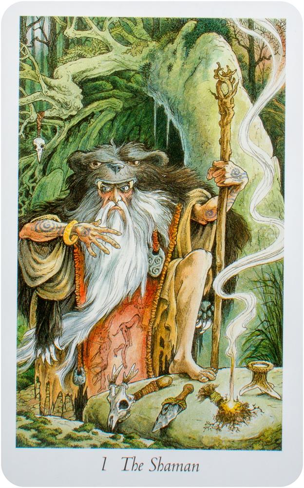 The Wildwood Tarot