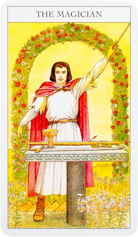 Beginner’s Guide to Tarot