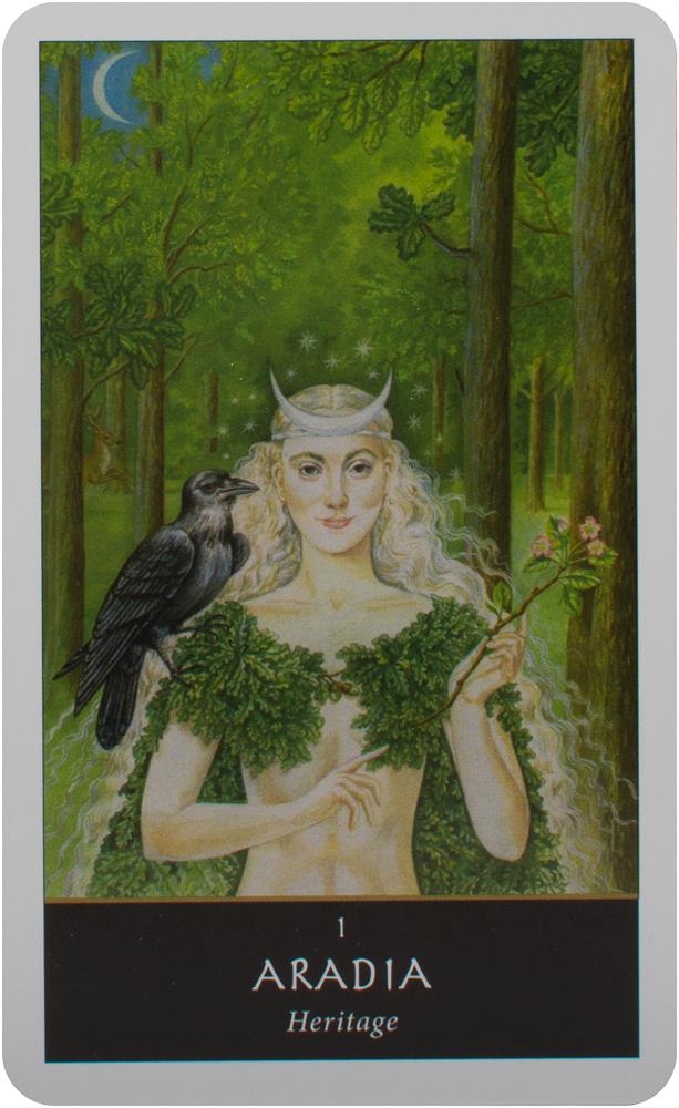 The Witches' Oracle: (Book & Cards)