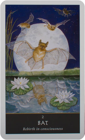 The Witches' Oracle: (Book & Cards)