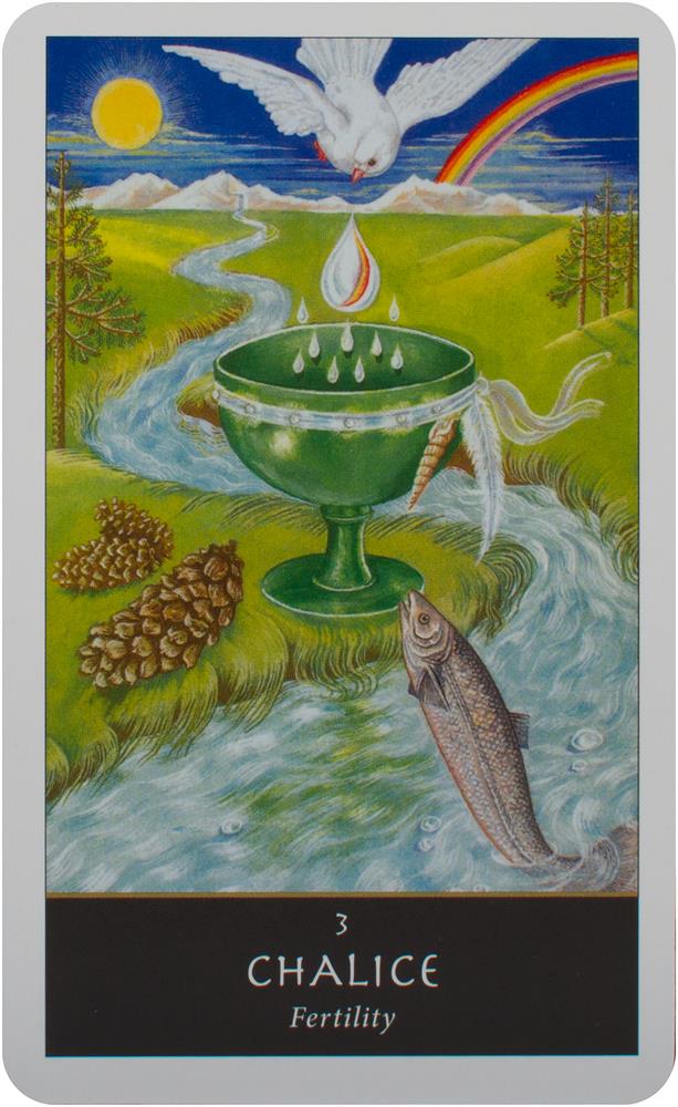 The Witches' Oracle: (Book & Cards)