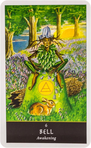 The Witches' Oracle: (Book & Cards)