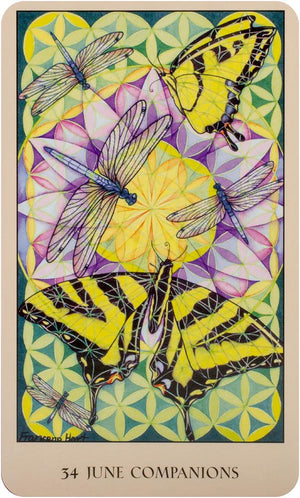 Sacred Geometry Oracle Deck (Book & 64 Full-Color Cards; Boxed)