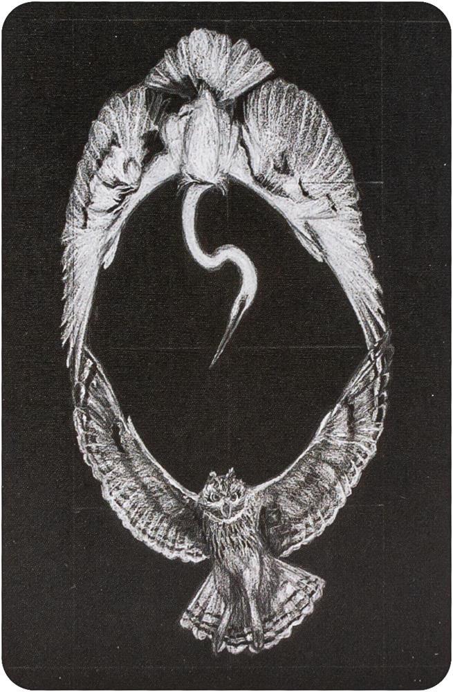 The New Chapter Tarot