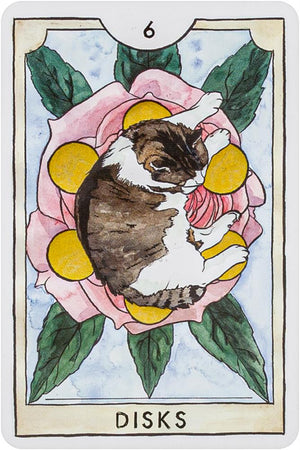 The New Chapter Tarot