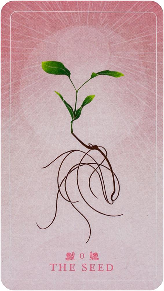 Seed And Sickle Oracle