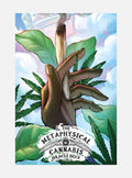 Metaphysical Cannabis Oracle Deck