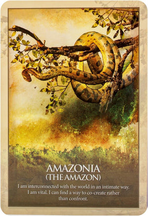 Earth Power Oracle : An Atlas for the Soul
