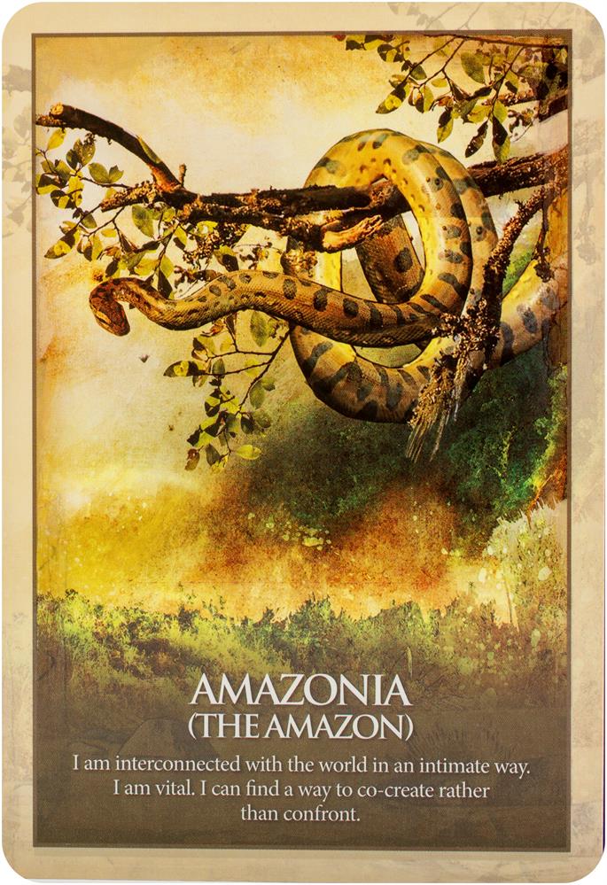 Earth Power Oracle : An Atlas for the Soul