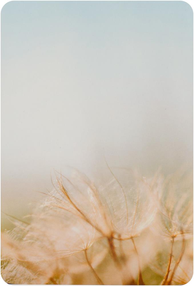 Flower Of Life Cards : Wisdom of Astar