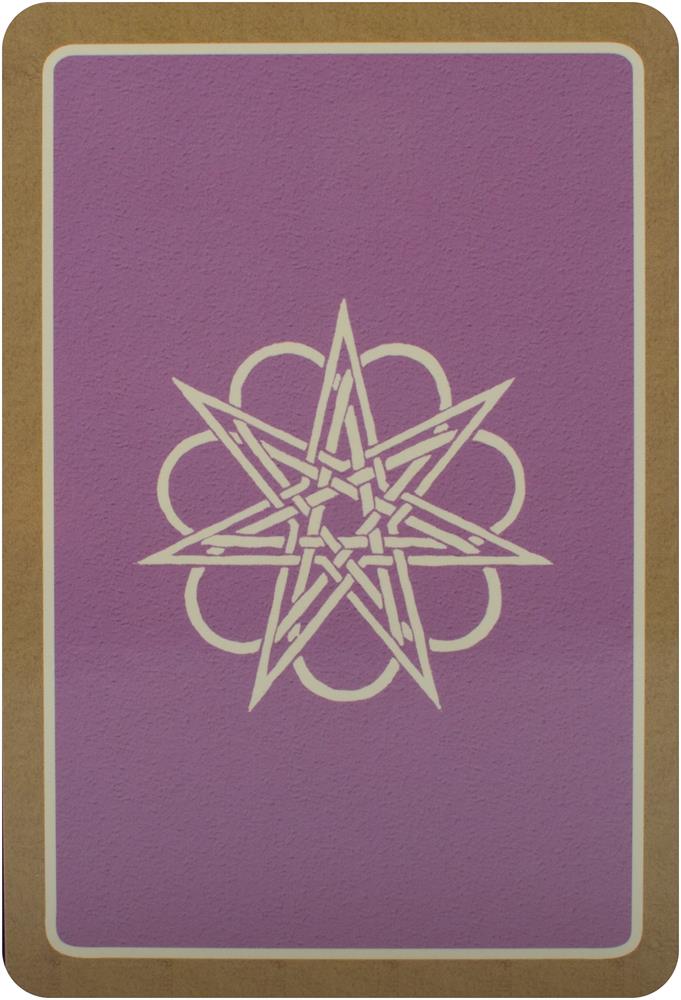 Wild Wisdom Of The Faery Oracle New Edition : Oracle Card and Book Set