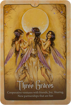 Wild Wisdom Of The Faery Oracle New Edition : Oracle Card and Book Set