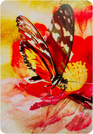 Butterfly Affirmations : Affirmation Cards For Your Happy, Courageous, Beautiful Life