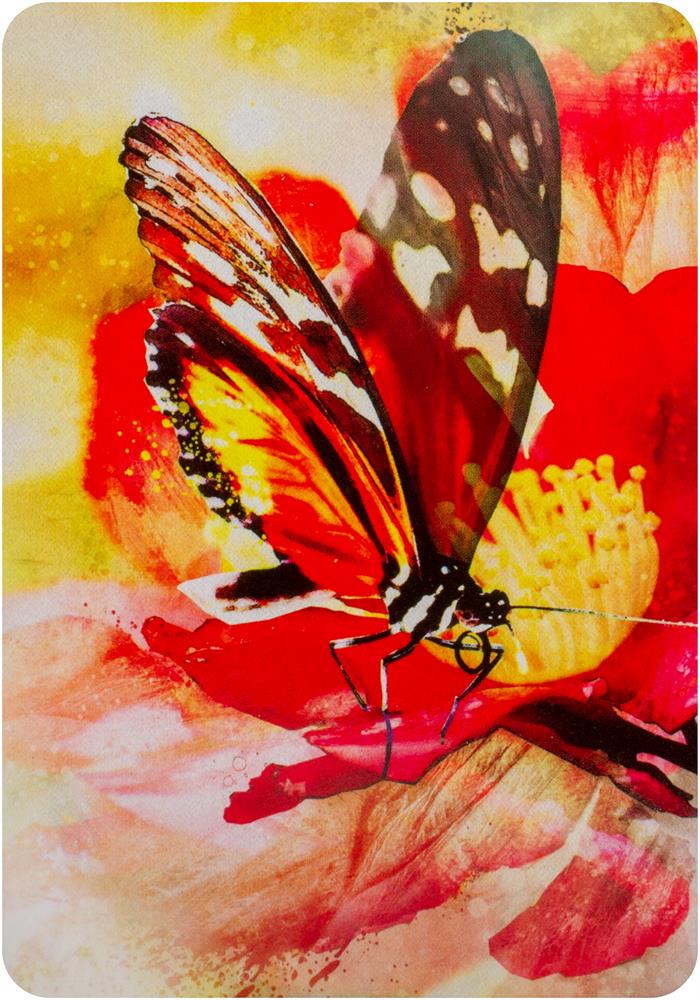 Butterfly Affirmations : Affirmation Cards For Your Happy, Courageous, Beautiful Life