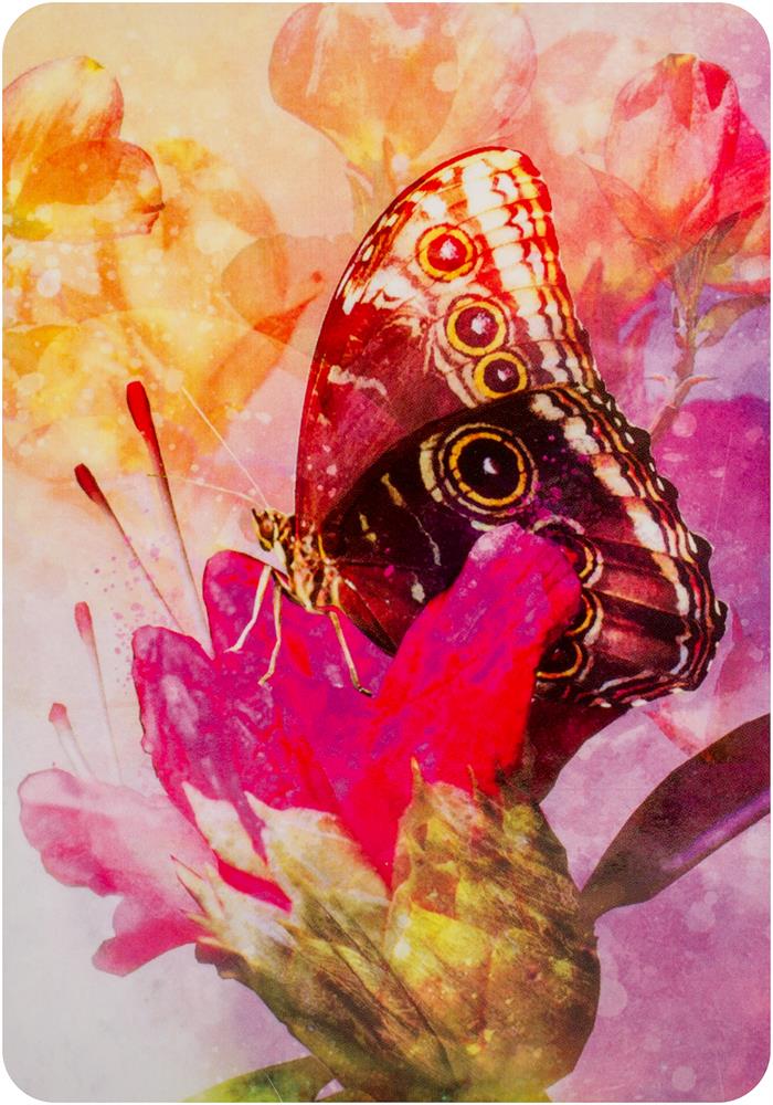 Butterfly Affirmations : Affirmation Cards For Your Happy, Courageous, Beautiful Life