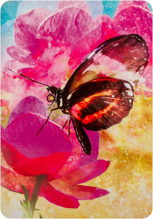 Butterfly Affirmations : Affirmation Cards For Your Happy, Courageous, Beautiful Life