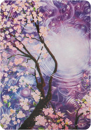Namaste : Blessing & Divination Cards