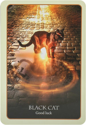 Divination Of The Ancients : Oracle Cards