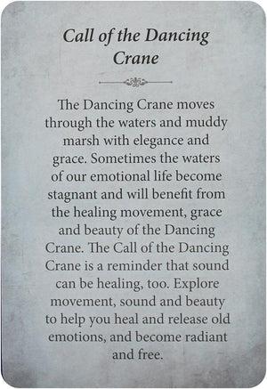 Kuan Yin Oracle - Pocket Edition : Blessings, Guidance & Enlightenment From the Divine Feminine