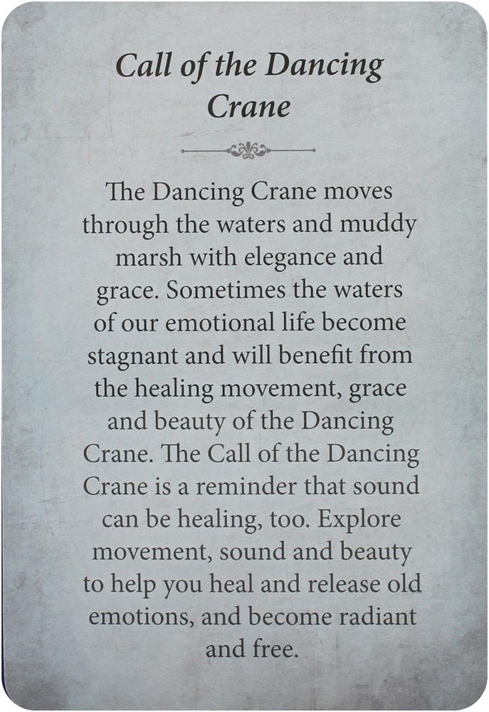 Kuan Yin Oracle - Pocket Edition : Blessings, Guidance & Enlightenment From the Divine Feminine
