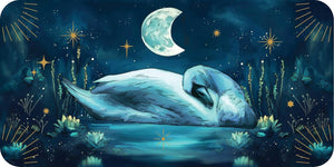 Sleeping Spirits