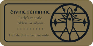 Medieval Herb Sigils