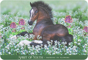 Oracle Of The Sacred Horse