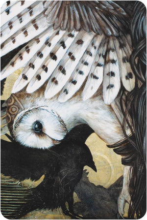 Medicine Heart Oracle