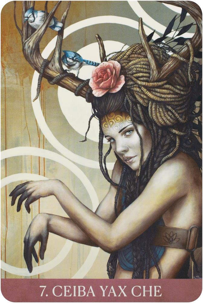 Medicine Heart Oracle