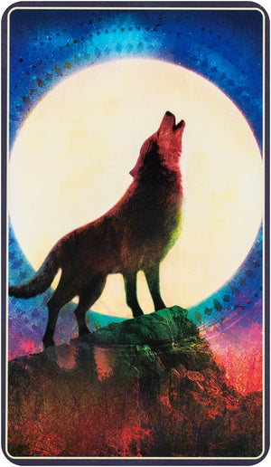 Wild Dreams Animal Oracle