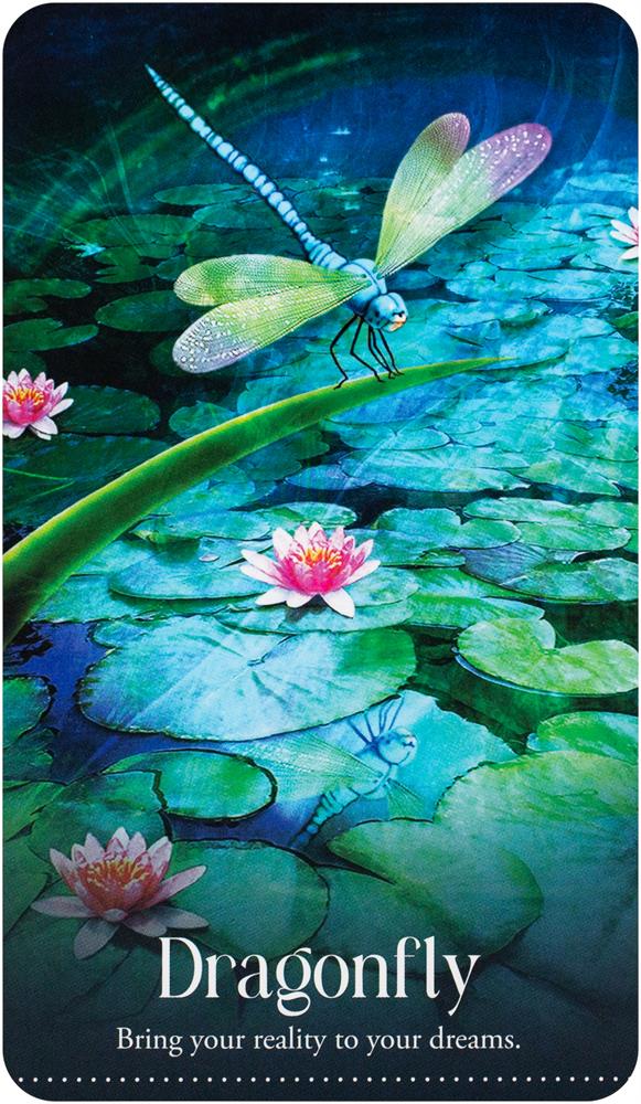 Wild Dreams Animal Oracle