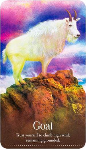 Wild Dreams Animal Oracle