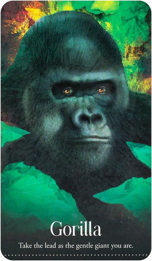 Wild Dreams Animal Oracle
