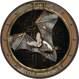 Maxine Gadd's Zoologica: The Steampunk Oracle