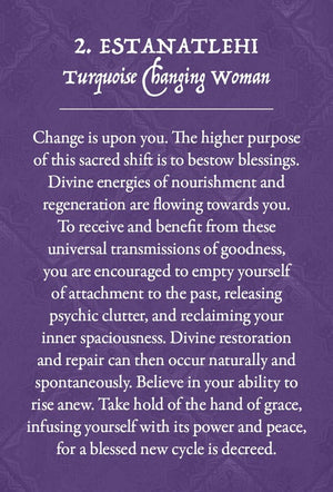 Earth Warriors Oracle - Pocket Purpose Edition: Energise Your Purpose