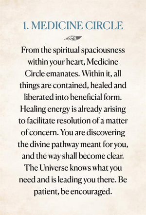 Medicine Heart Oracle - Pocket Panda Edition: Nourishing Transfusions of Medicinal Grace