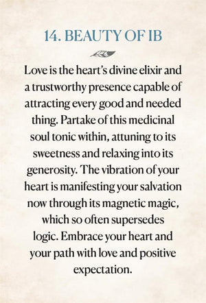 Medicine Heart Oracle - Pocket Panda Edition: Nourishing Transfusions of Medicinal Grace