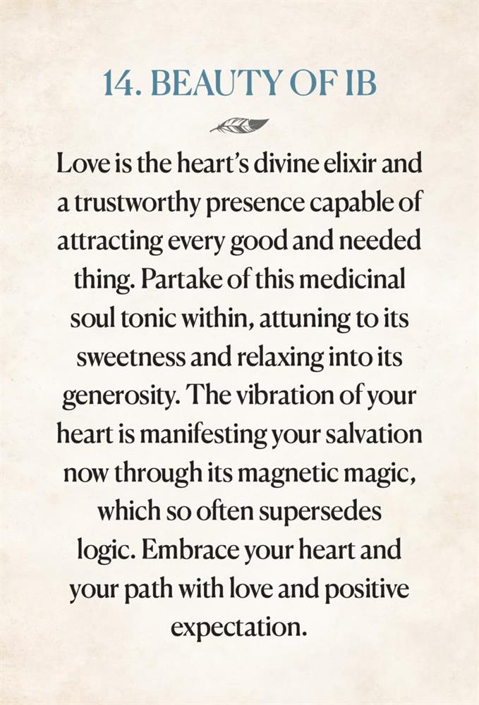 Medicine Heart Oracle - Pocket Panda Edition: Nourishing Transfusions of Medicinal Grace