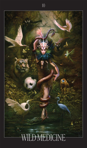 Oracle of the Vampire Fae: Fierce Feminine Wisdom for the Baobhan Sith