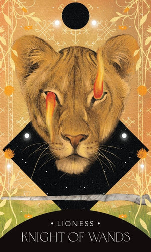 The Symbolic Tarot: Mythic Meanings within Everyday Objects