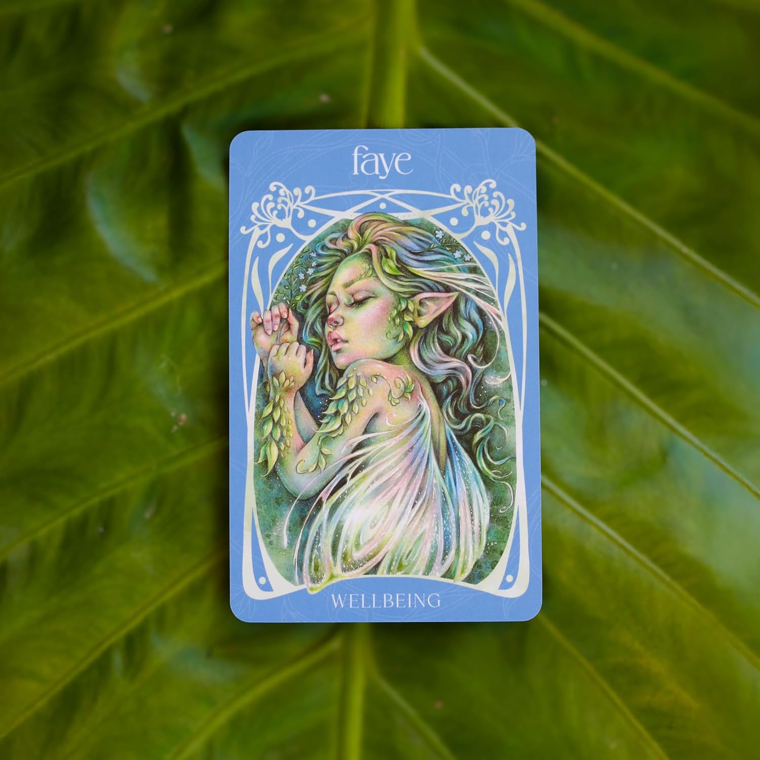Enchanted Garden Oracle: Discover Earth's Secret and Pearls of Wisdom