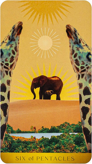 Radiant Wilds Tarot - Desert dreamscapes to inhabit