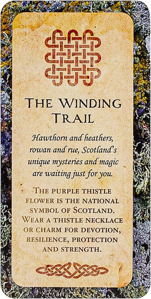 Druid Wisdom