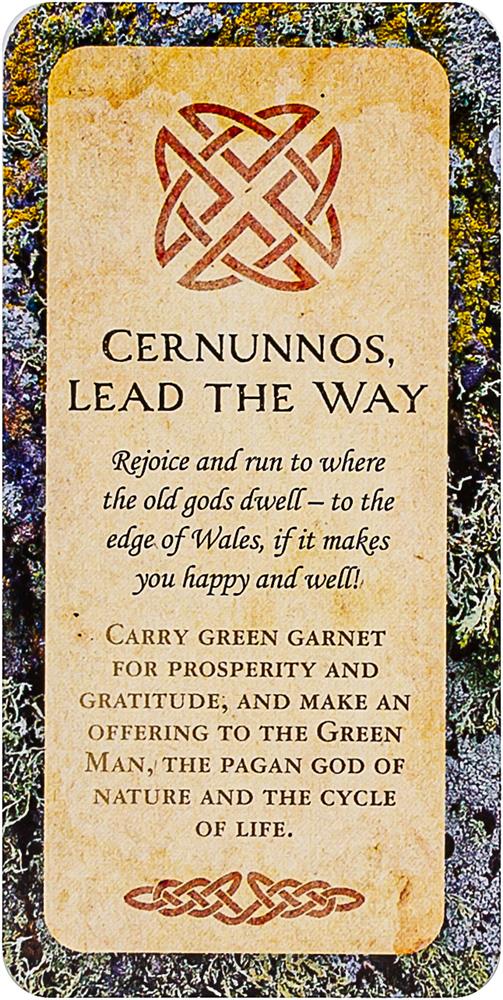 Druid Wisdom