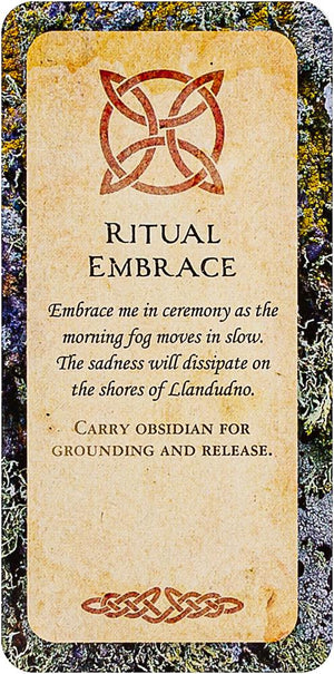 Druid Wisdom