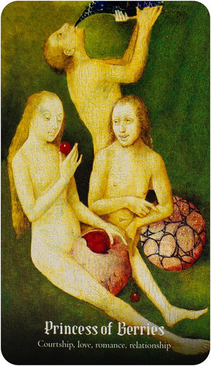 Hieronymus Bosch Tarot