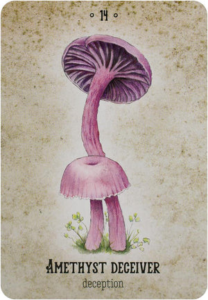 Mushroom Spirit Oracle